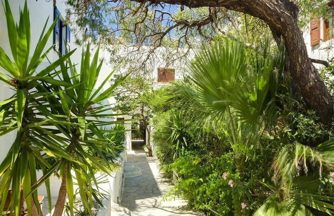 Studios & Suites Rania-1