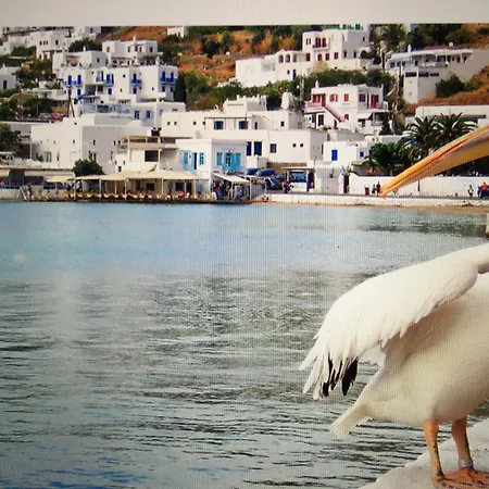 Dionysos Luxury Hotel Mykonos-3
