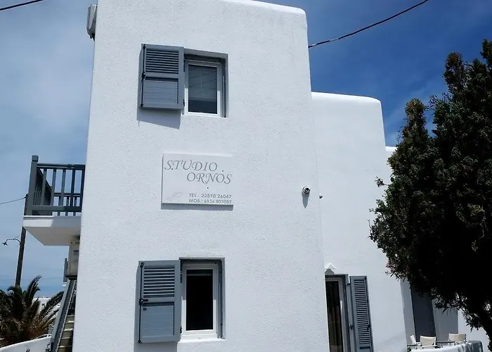 Studio Ornos che accetta animali