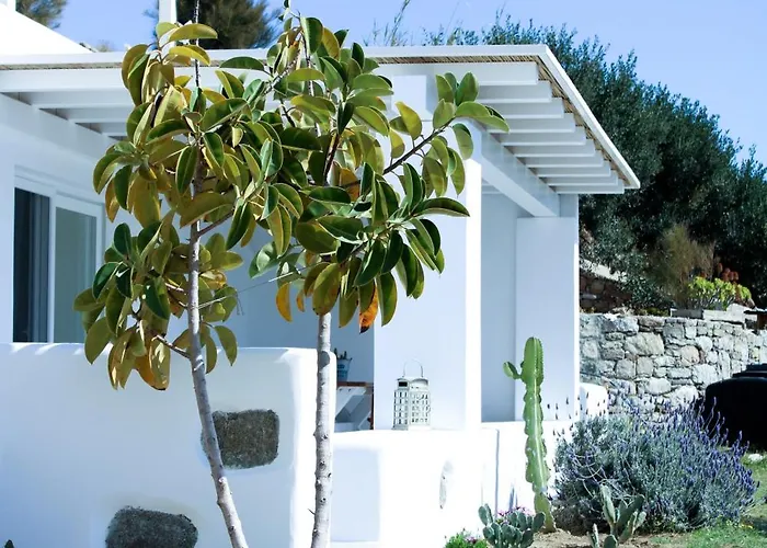 Pet friendly The Elaia House Mykonos Villa Ornos 